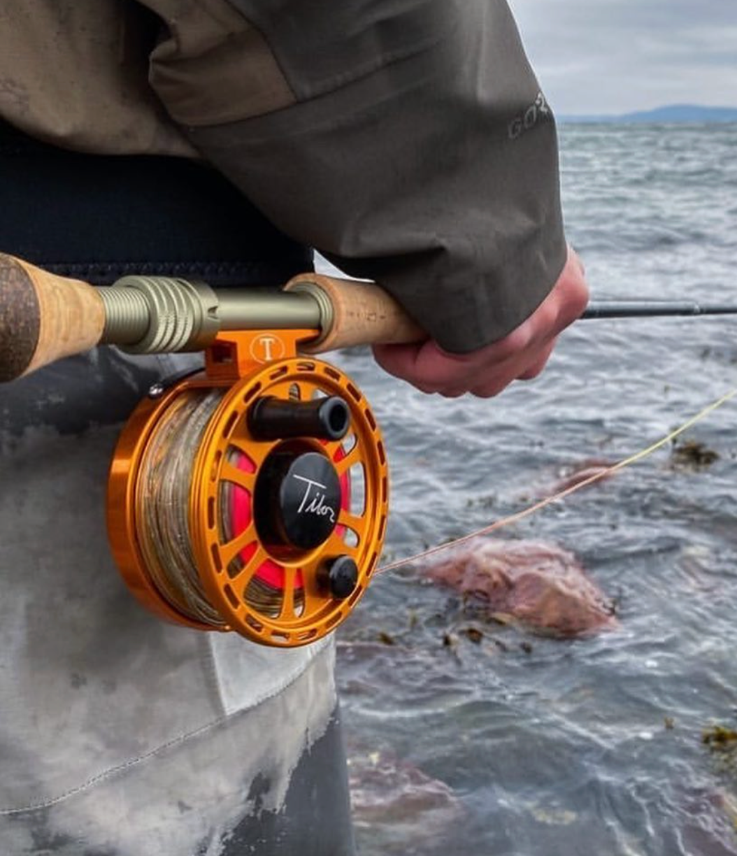 buy shimano calcutta reels Shimano