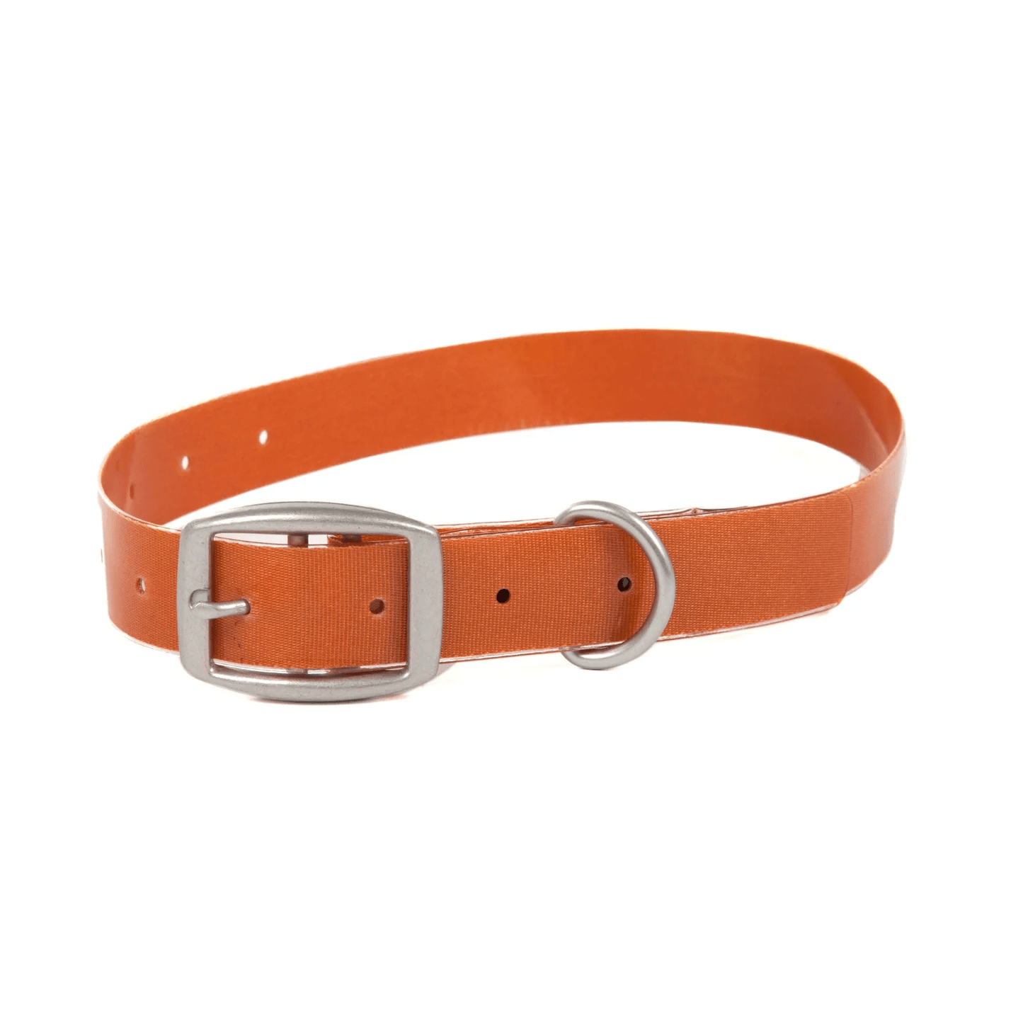 Fishpond Salty Dog Collar Fishpond Cutthroat Orange / M Accessories Rivers and Glen Trading Co