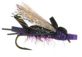 AMY'S ANT Umpqua 14 / Purple Flies Rivers and Glen Trading Co