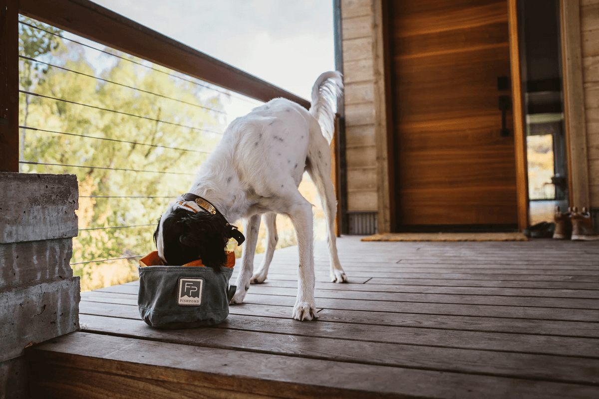 Fishpond Bow Wow Travel Food Bowl Fishpond Duskwood Luggage Rivers and Glen Trading Co