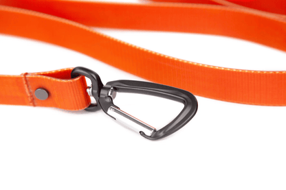 Fishpond Dog Leash Fishpond Accessories Rivers and Glen Trading Co