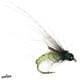 CADDISTROPHIC PUPA Umpqua 16 / Olive Flies Rivers and Glen Trading Co