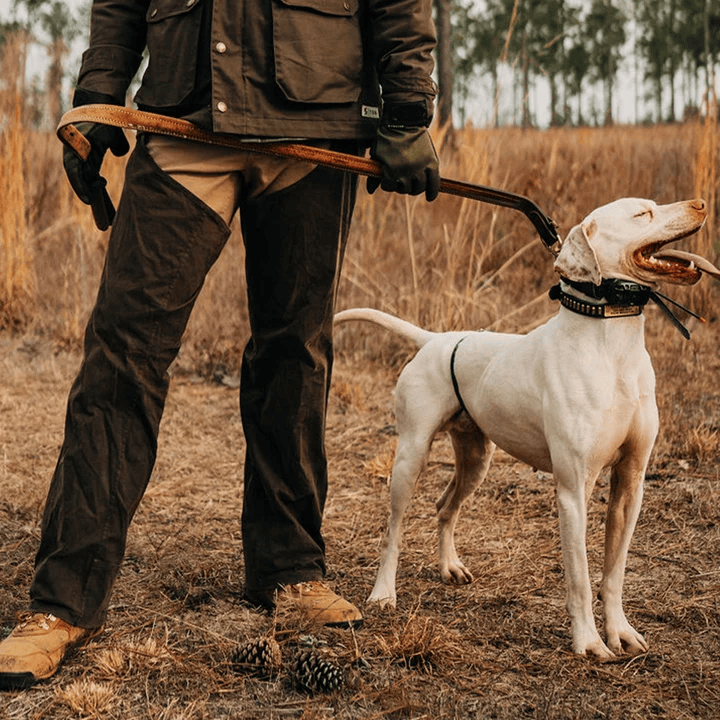 TSG Waxed Briar Chaps TSG Rustic Olive / One Size Fits Most Men's Hunting Pants Rivers and Glen Trading Co
