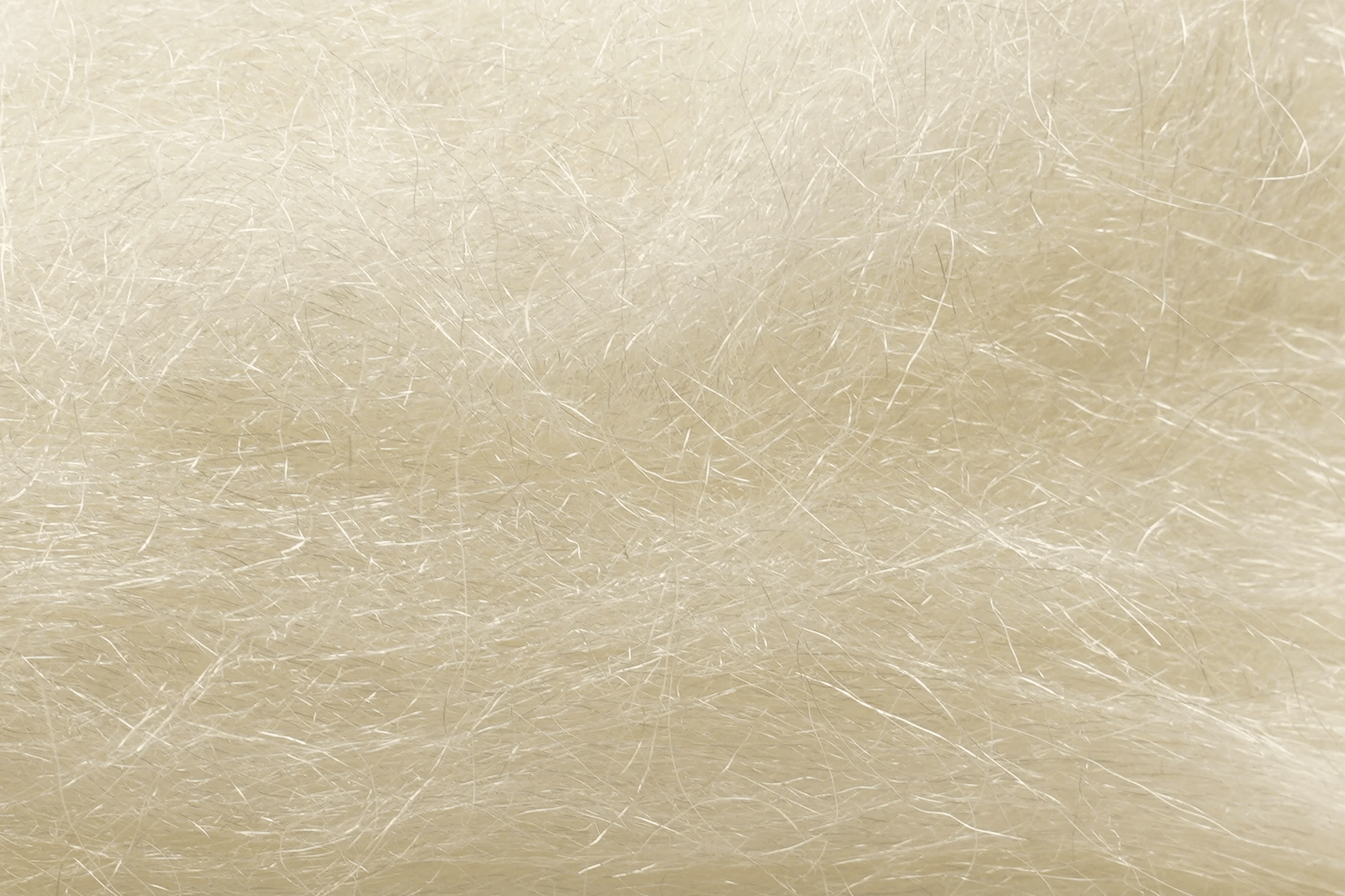 Senyo's Laser Hair Hareline Dubbin Polar White Fly Tying Rivers and Glen Trading Co