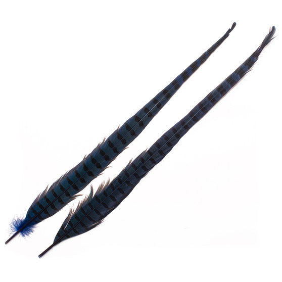 1 PAIR RINGNECK TAIL FEATHERS - Rivers & Glen Trading Co.