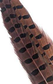 1 PAIR RINGNECK TAIL FEATHERS - Rivers & Glen Trading Co.