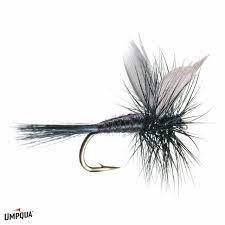 BLACK GNAT Umpqua 14 Flies Rivers and Glen Trading Co