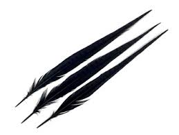 Hareline Ringneck Pheasant Tail Feathers - Rivers & Glen Trading Co.